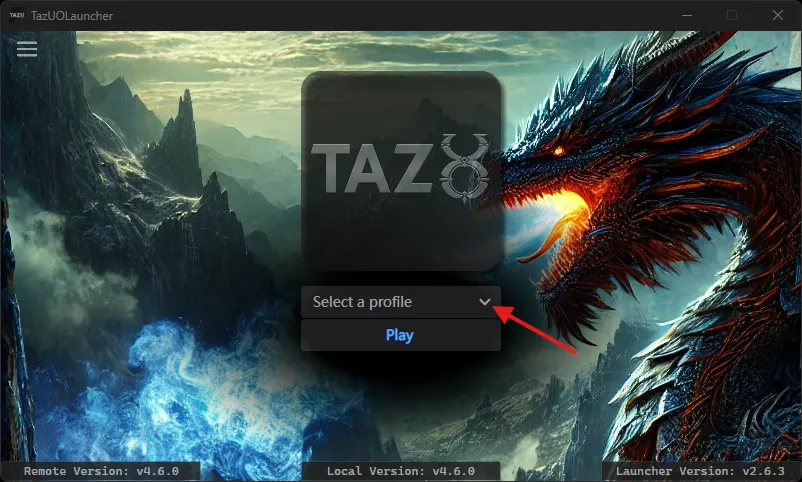 Launcher Profile Setup