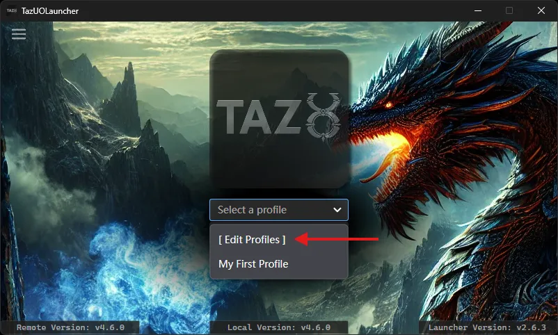 Launcher Profile Setup